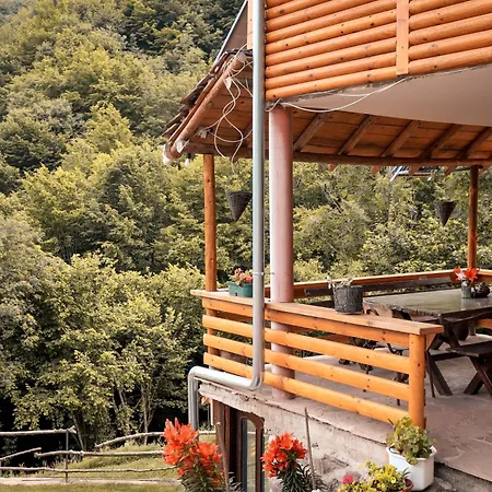 Jacimov Apartamento Pirot