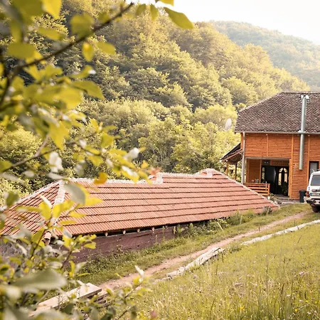 Jacimov Apartamento Pirot